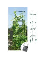 PODPĚRY PRO ROSTLINY PODPĚRY PRO KVĚTINY 29x29x120 CM FOREST GREEN dětské