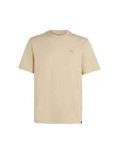 O'Neill Small Logo T-Shirt M 92800613999