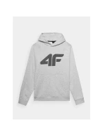 Pánská mikina s kapucí bez pánské model 21432204 - 4F Pánská mikina s kapucí bez pánské model 21432204 - 4F