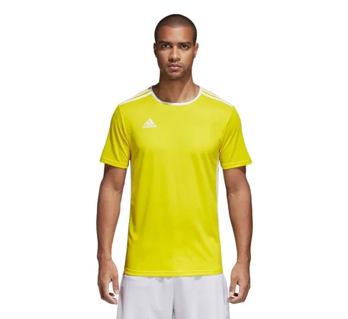 Entrada 18 unisex fotbalové tričko CD8390 - Adidas