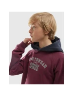 Mikina 4F Jr 4FJAW23TSWSM651-60S Mikina 4F Jr 4FJAW23TSWSM651-60S