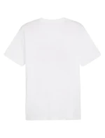 Puma Graphics Summer Sports Tee II M 627909 02 pánské tričko Puma Graphics Summer Sports Tee II M 627909 02 pánské tričko
