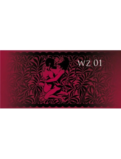 Dámské punčochy CALZE ARS AMANDI - GATTA