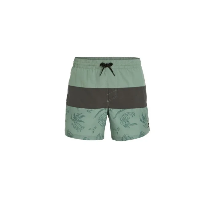 Plavecké šortky O'Neill Mix&Match Cali Block 15'' M 92800613820