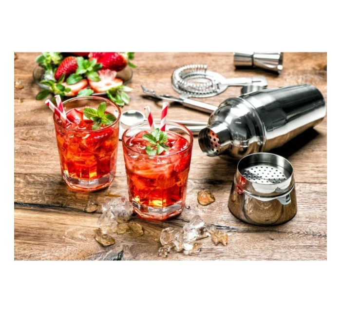 BARMANSKÁ SADA 5 KUSŮ ŠEJKRŮ NA NÁPOJE ALPINA