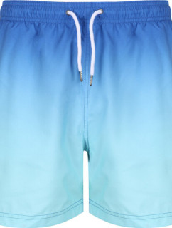 Pánské plavkové šortky Swim Short model 18669771 - Regatta