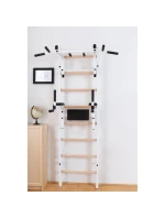 DŘEVĚNÝ KOVOVÝ GYMNASTICKÝ ŽEBŘÍK S HRAZDOU A PŘÍSLUŠENSTVÍM BENCHK 232W