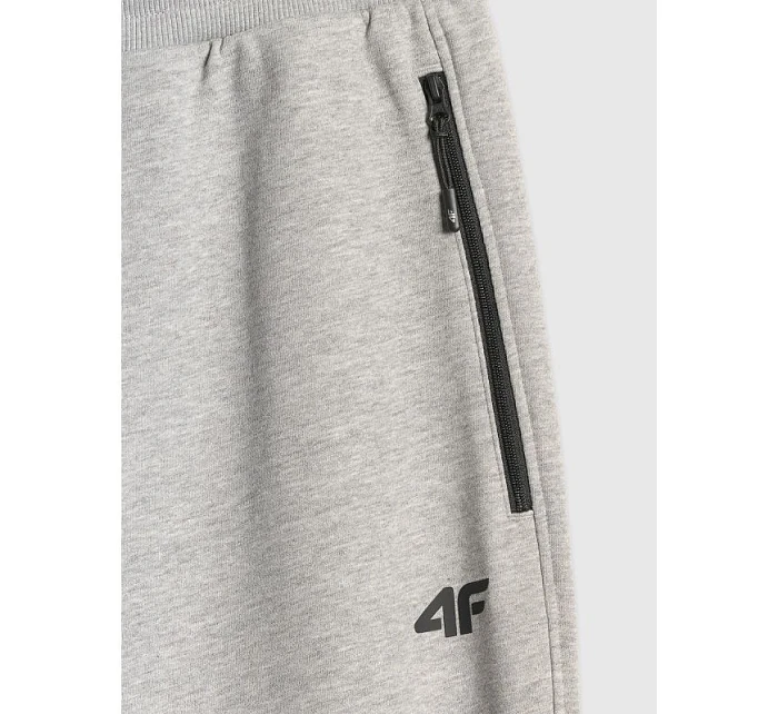Pánské tepláky typu jogger 4F 4FRMM00TTROM2020-27M