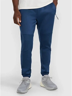 Pánské rychleschnoucí tréninkové kalhoty model 22071382 - 4F