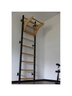 DŘEVĚNÝ KOVOVÝ GYMNASTICKÝ ŽEBŘÍK S DŘEVĚNOU LAVIČKOU 711W