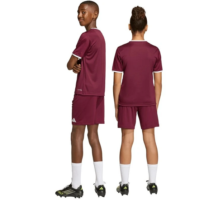 Dětské šortky Entrada 26 bordó model 21870315 - ADIDAS