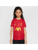 Tričko Nike Liverpool FC Academy Pro SS Top Jr FQ0013-688