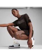 Puma Sport Graphic Tee M 684617 01 pánské tričko Puma Sport Graphic Tee M 684617 01 pánské tričko