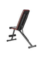 s model 21810847 - HMS s model 21810847 - HMS