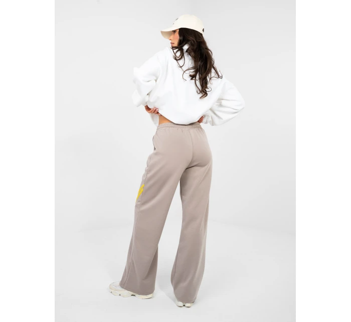 Spodnie dresowe IT DR model 22013669 ciemny bezowy - FPrice