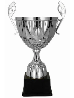 Stříbrný kovový pohár model 21827370