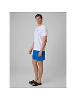 Pánské plážové šortky typu boardshorts s filtrem UPF50+ značky 4F 4FRSS26UBDSM258-36S Pánské plážové šortky typu boardshorts s filtrem UPF50+ značky 4F 4FRSS26UBDSM258-36S