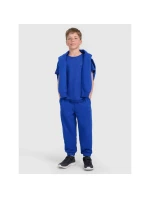 Chlapecké hladké tričko 4F 4FJRAW25TTSHM3260-36S