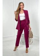 Elegantní souprava saka a kalhot švestka