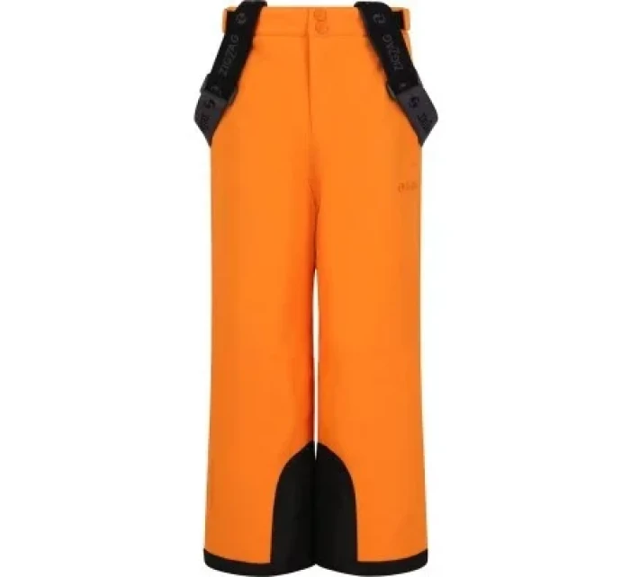 Dětské lyžařské kalhoty Provo W-PRO 10000