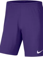 Pánská obuv Dry Park III NB K M BV6855 547 - Nike