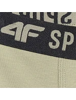 Chlapecké boxerky 3pak vícebarevné 1 JWAW25UBXS 91S model 21343674 - 4F Chlapecké boxerky 3pak vícebarevné 1 JWAW25UBXS 91S model 21343674 - 4F