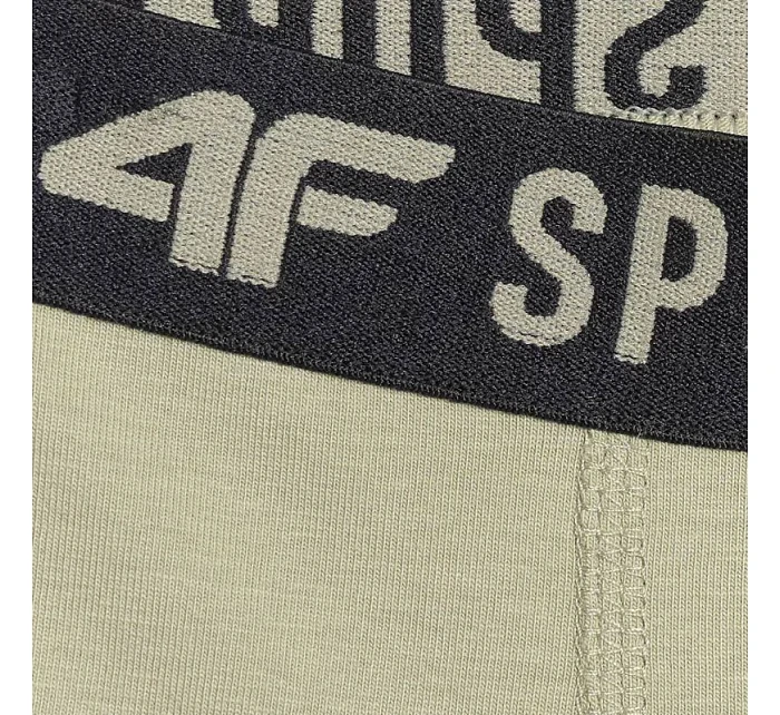 Chlapecké boxerky 3pak vícebarevné 1 JWAW25UBXS 91S model 21343674 - 4F Chlapecké boxerky 3pak vícebarevné 1 JWAW25UBXS 91S model 21343674 - 4F