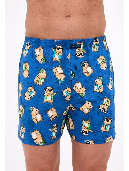 Pánské trenýrky Cornette 011/178