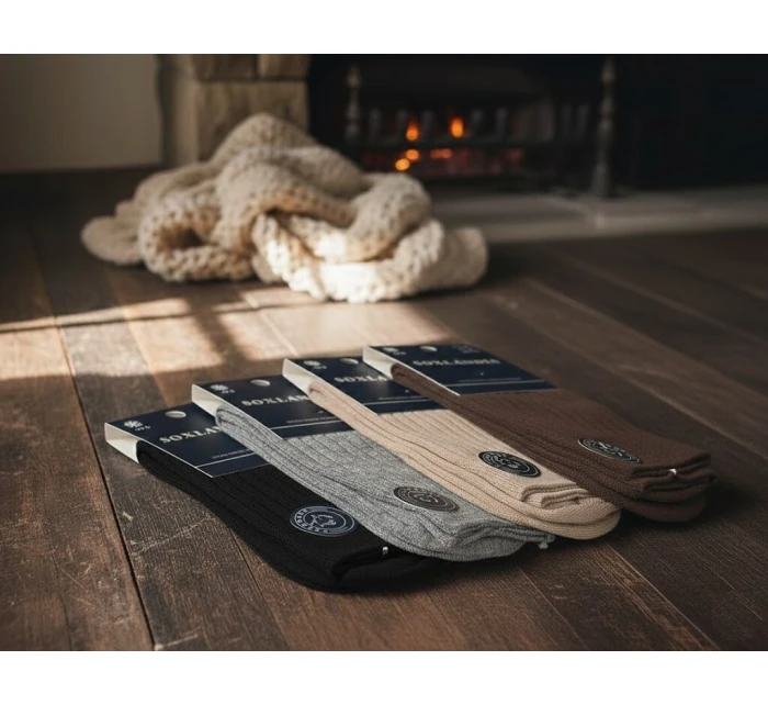 043  ponožky 3946 model 21780982 - WiK