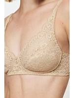 Soft model 229327 Triumph Soft model 229327 Triumph