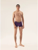 Pánské boxerky 2 pack model 20947055 Spin - Henderson