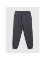 Pánské tepláky typu jogger 4F 4FRAW25TTROM1696-22S