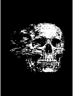 Pánské tričko s potiskem lebky s dynamickým efektem NX086R Pánské tričko s potiskem lebky s dynamickým efektem NX086R