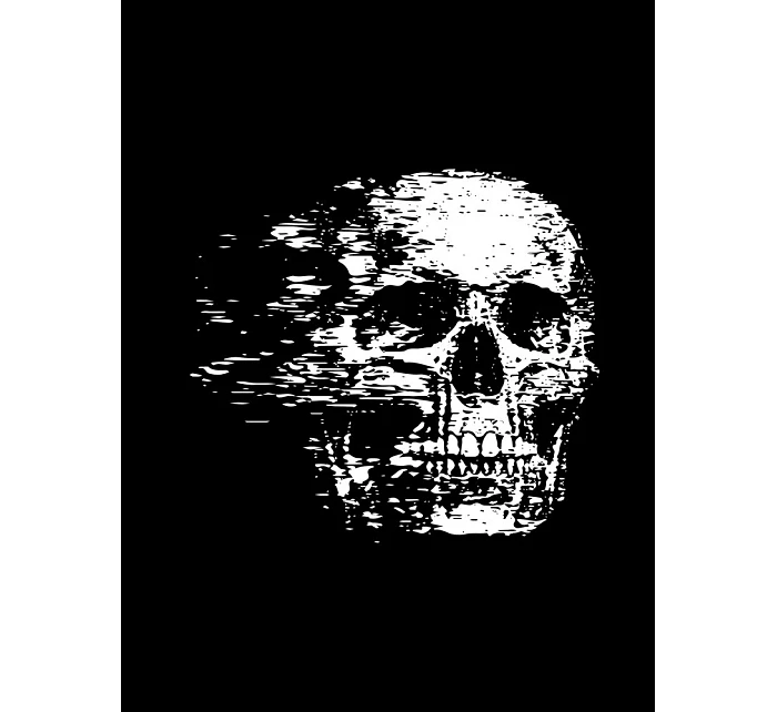 Pánské tričko s potiskem lebky s dynamickým efektem NX086R Pánské tričko s potiskem lebky s dynamickým efektem NX086R