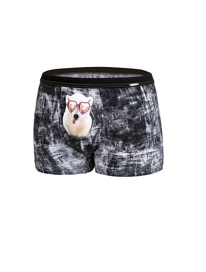 Pánské boxerky Brýle model 17595529 - Cornette