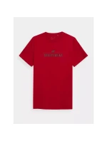 Tričko 4F M 4FSS23TTSHM539-62S pánské