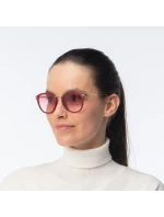 model 21358183 - Iguana