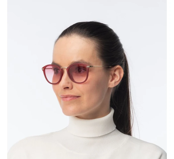 model 21358183 - Iguana