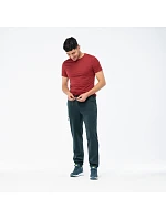 Pánské kalhoty model 22279374 - IQ INTELLIGENCE QUALITY Pánské kalhoty model 22279374 - IQ INTELLIGENCE QUALITY