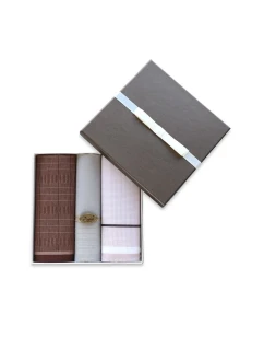 Pánské kapesníky model 20616821 A'3 - EGA