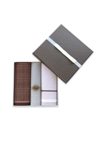 Pánské kapesníky model 20616821 A'3 - EGA Pánské kapesníky model 20616821 A'3 - EGA