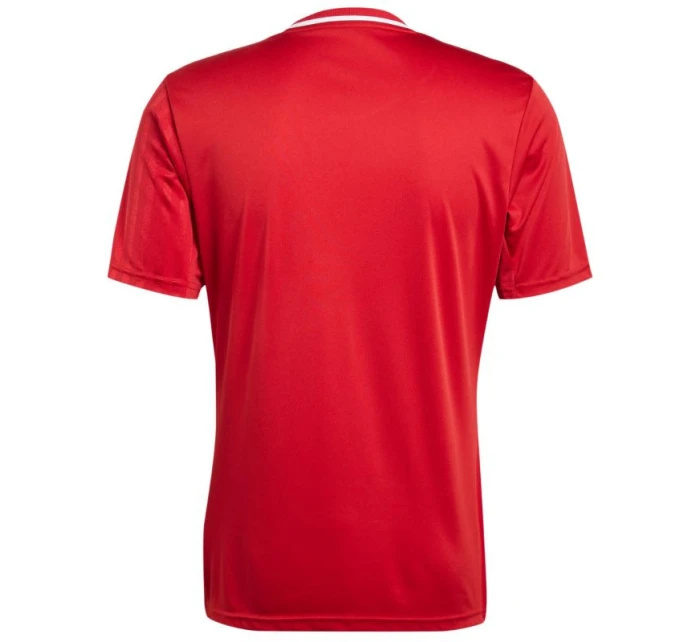 Tričko adidas Campeon 25 Jersey M JF6058 pánské Tričko adidas Campeon 25 Jersey M JF6058 pánské