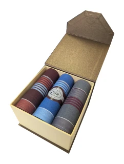 Pánské kapesníky model 20616819 A'3 - EGA