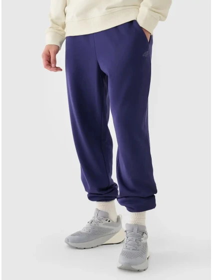 Pánské tepláky 4F Pánské tepláky 4F