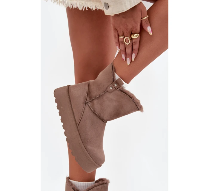 Dámské Sněhule Na Platformě S Kožíškem Tmavě Béžové model 21706852 - Boto Dámské Sněhule Na Platformě S Kožíškem Tmavě Béžové model 21706852 - Boto