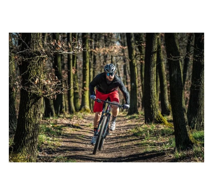 Bunda Pánská bunda  M 3120/0811 pánské model 20894769 - Silvini