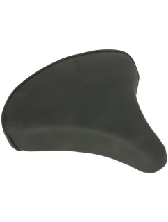 NA  FIT model 21824476 - Enero