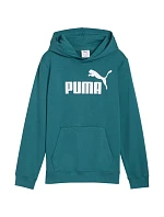 Dětská mikina ESS No.1 Logo Hoodie green model 22068521 41 - Puma