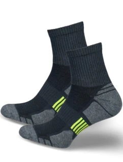 Pánské ponožky ACTIVE 0224.022