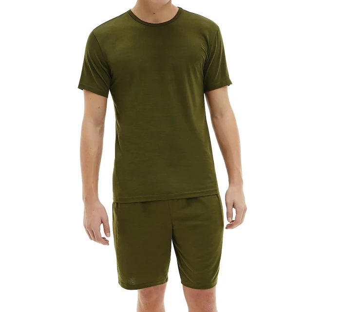 Pánské tričko s krátkým rukávem NB2364E-0S6 - Calvin Klein